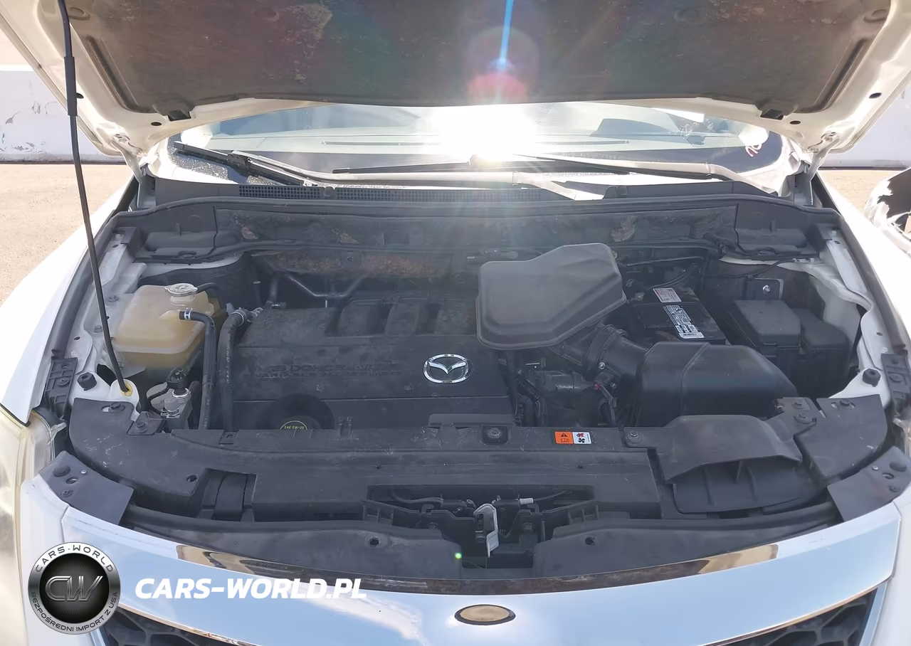 2011 Mazda Cx-9 Grand Touring VIN:JM3TB2DV1B0312489 - 10