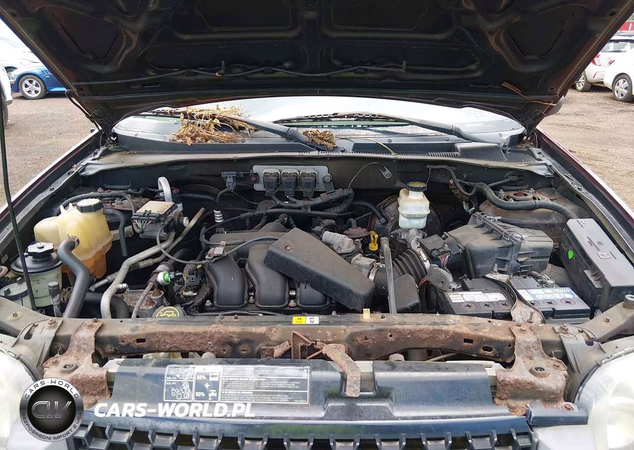 2006 Ford Escape Xlt-Xlt Sport VIN:1FMYU93126KB08385 - 10