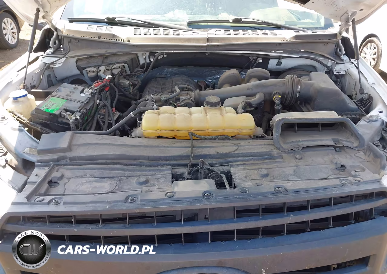 2019 Ford F-150 Xl VIN:1FTEX1CB4KKC53639 - 10
