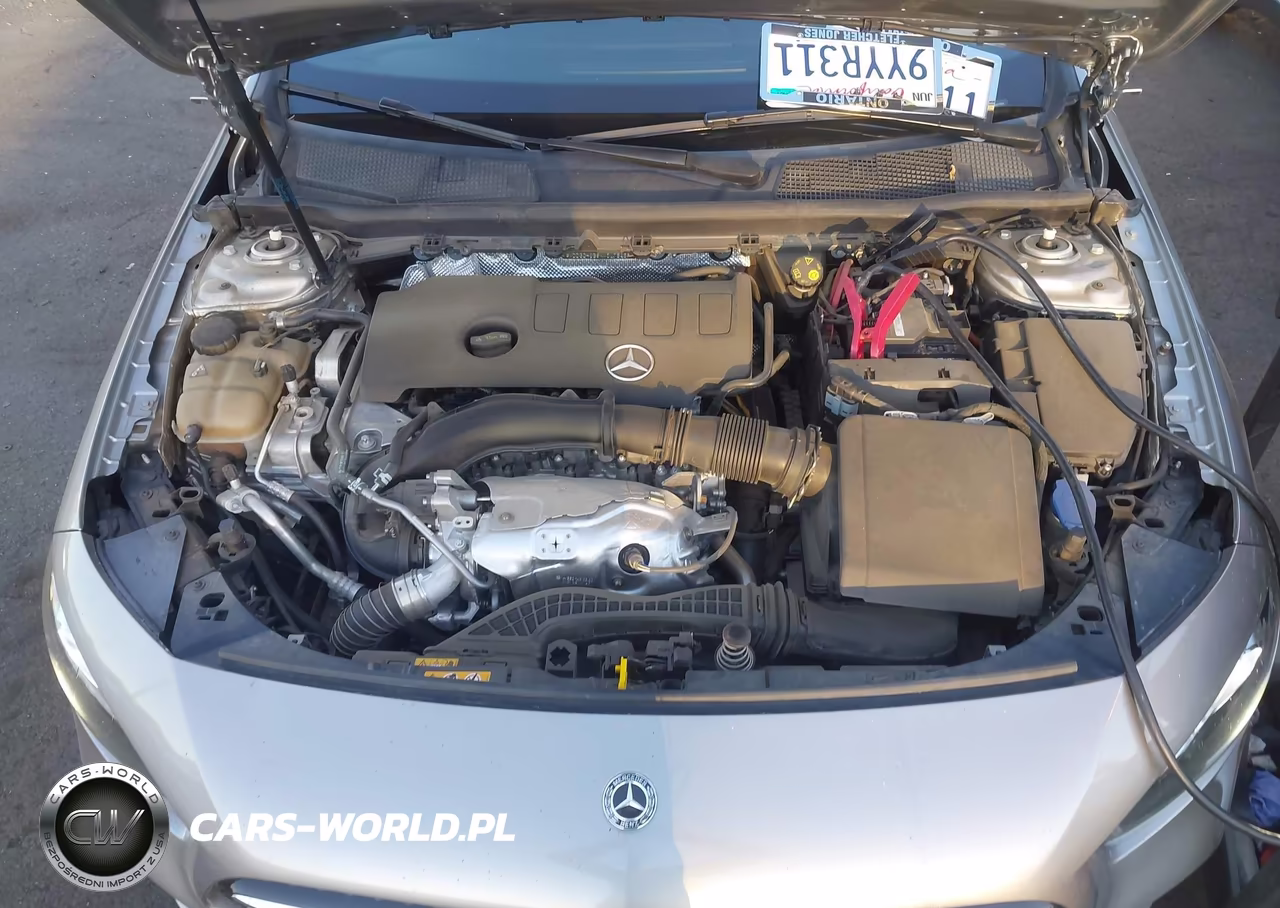 2019 Mercedes-Benz A 220 VIN:WDD3G4EB9KW017525 - 10