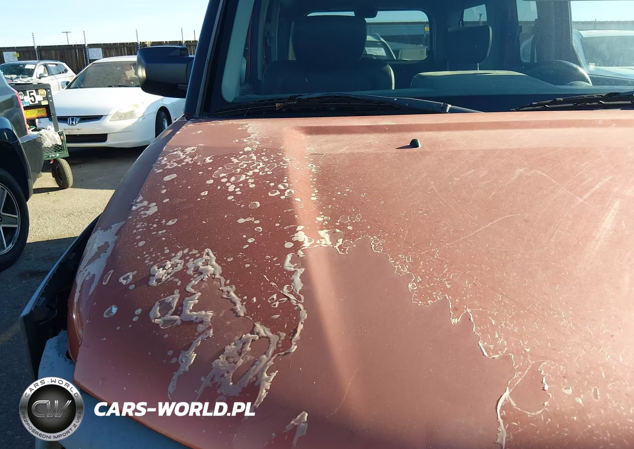2004 Honda Element Lx VIN:5J6YH18304L006606 - 16