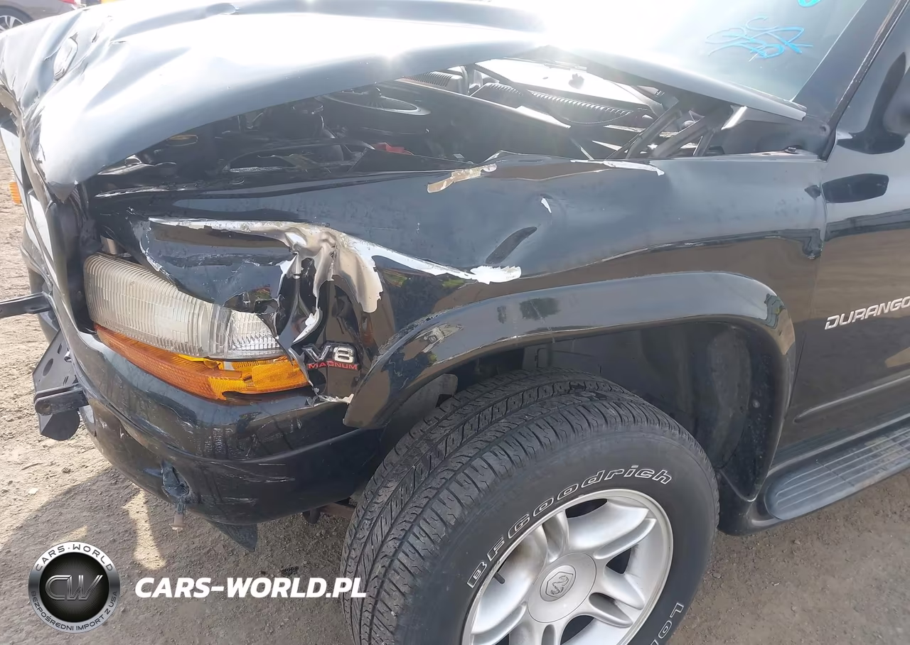 2000 Dodge Durango VIN:1B4HS28Z9YF226488 - 17