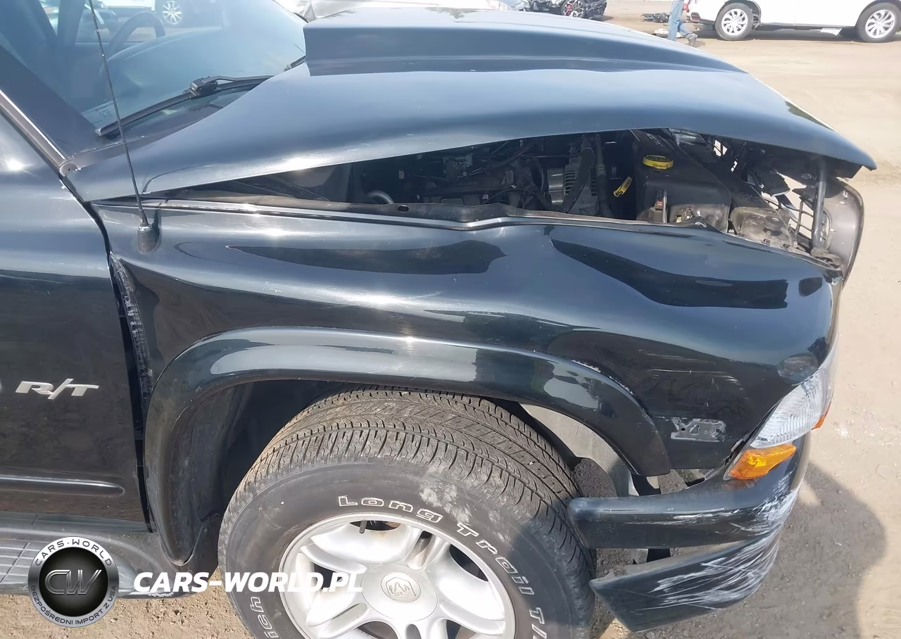 2000 Dodge Durango VIN:1B4HS28Z9YF226488 - 18