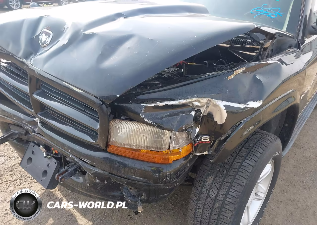 2000 Dodge Durango VIN:1B4HS28Z9YF226488 - 6