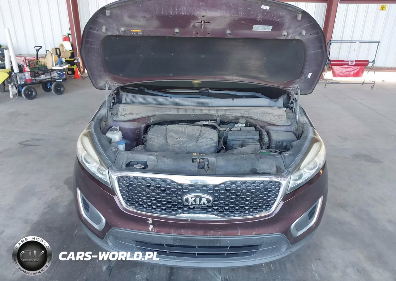 2016 Kia Sorento 3.3L Lx VIN:5XYPGDA54GG025774 - 10