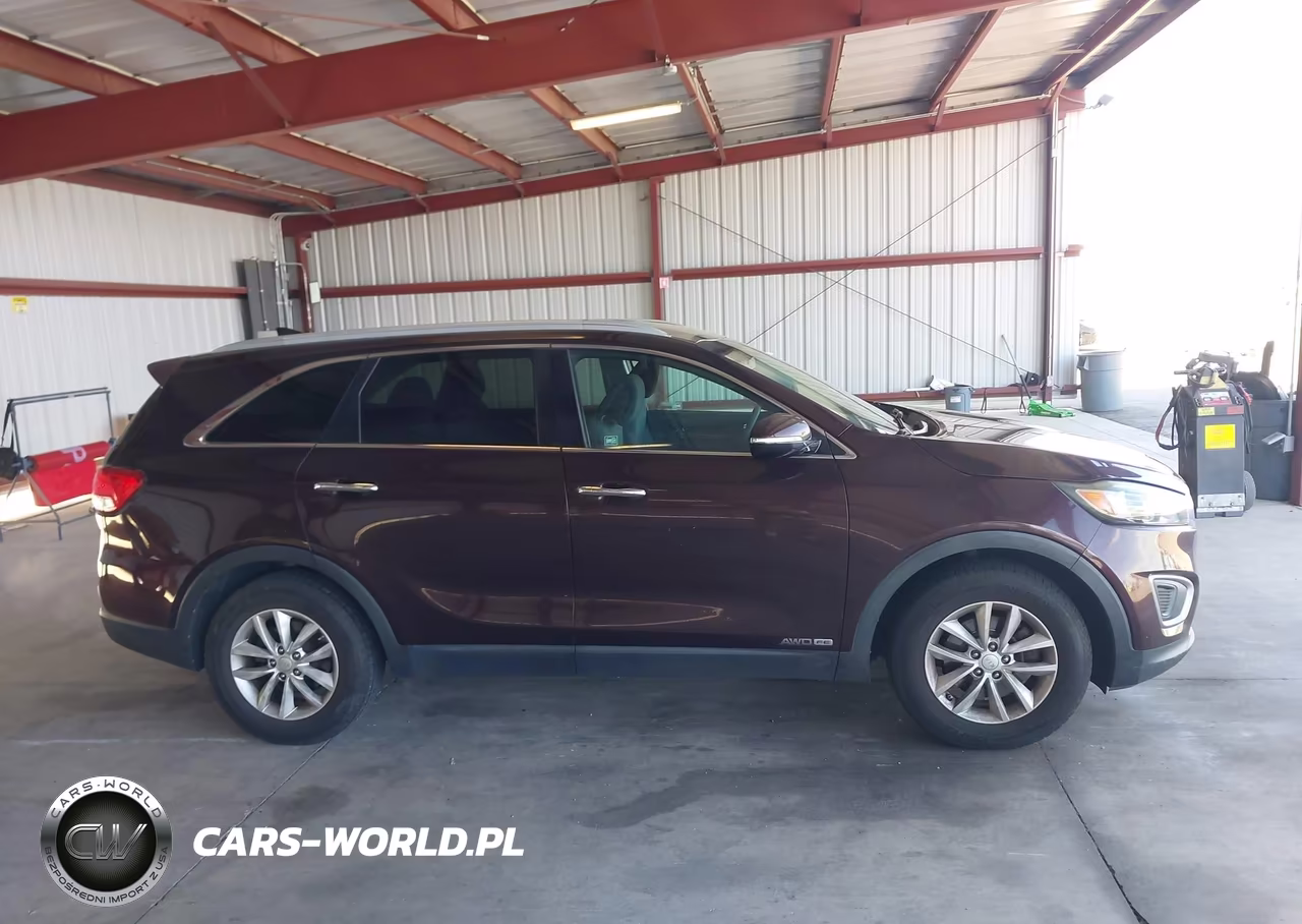 2016 Kia Sorento 3.3L Lx VIN:5XYPGDA54GG025774 - 13