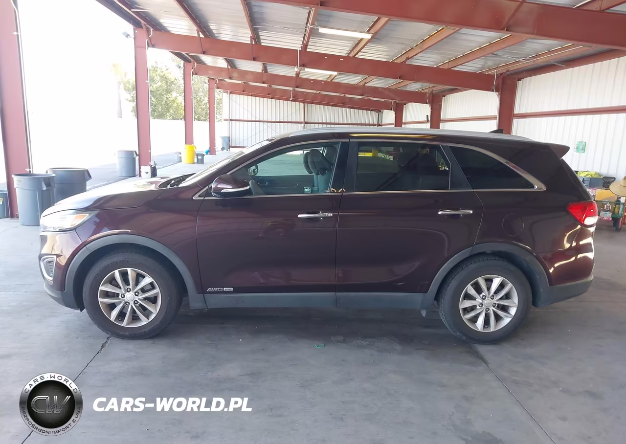 2016 Kia Sorento 3.3L Lx VIN:5XYPGDA54GG025774 - 14