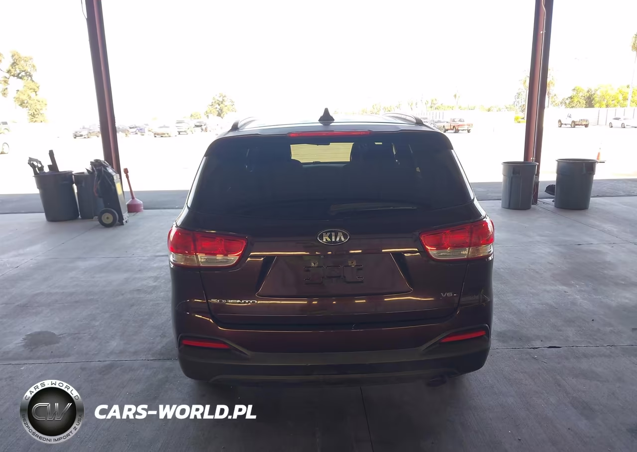 2016 Kia Sorento 3.3L Lx VIN:5XYPGDA54GG025774 - 16