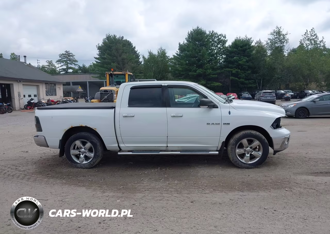 2010 Dodge Ram 1500 Slt-Sport-Trx VIN:1D7RV1CT3AS198315 - 14