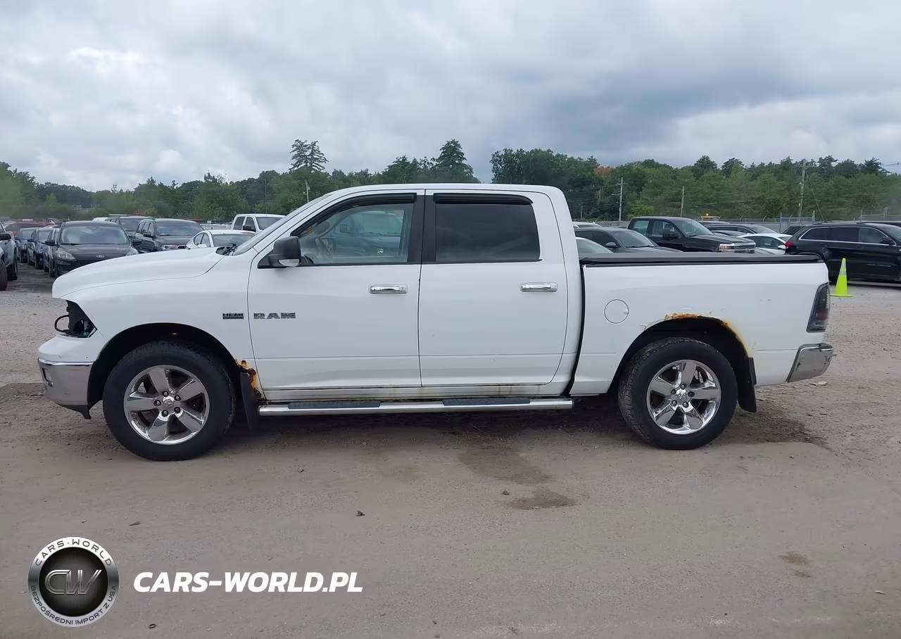 2010 Dodge Ram 1500 Slt-Sport-Trx VIN:1D7RV1CT3AS198315 - 15