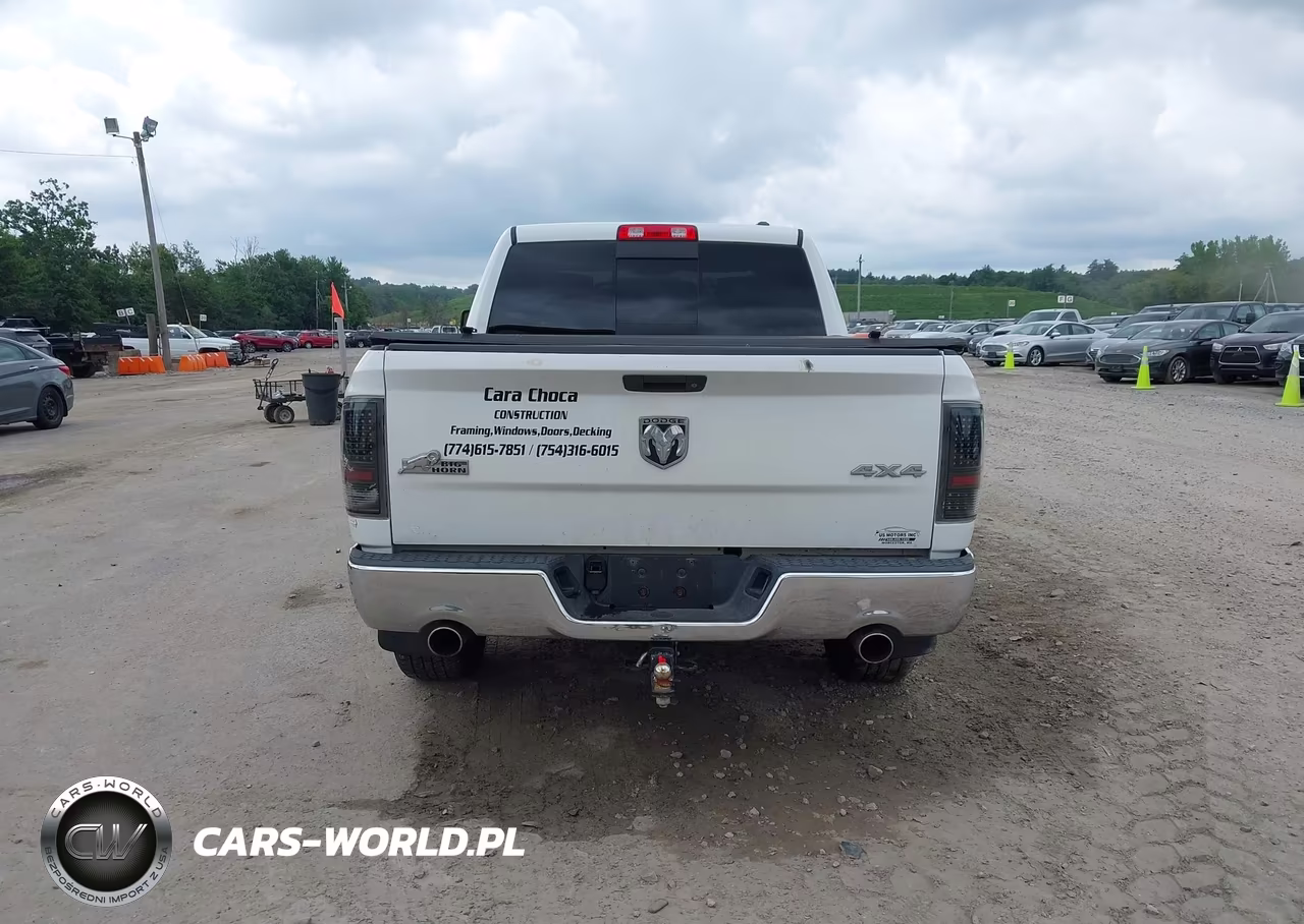 2010 Dodge Ram 1500 Slt-Sport-Trx VIN:1D7RV1CT3AS198315 - 17