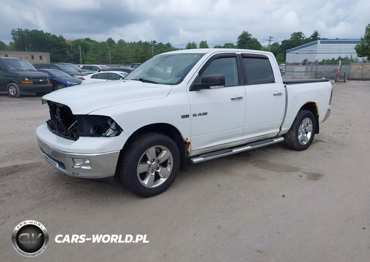 2010 Dodge Ram 1500 Slt-Sport-Trx VIN:1D7RV1CT3AS198315 - 2