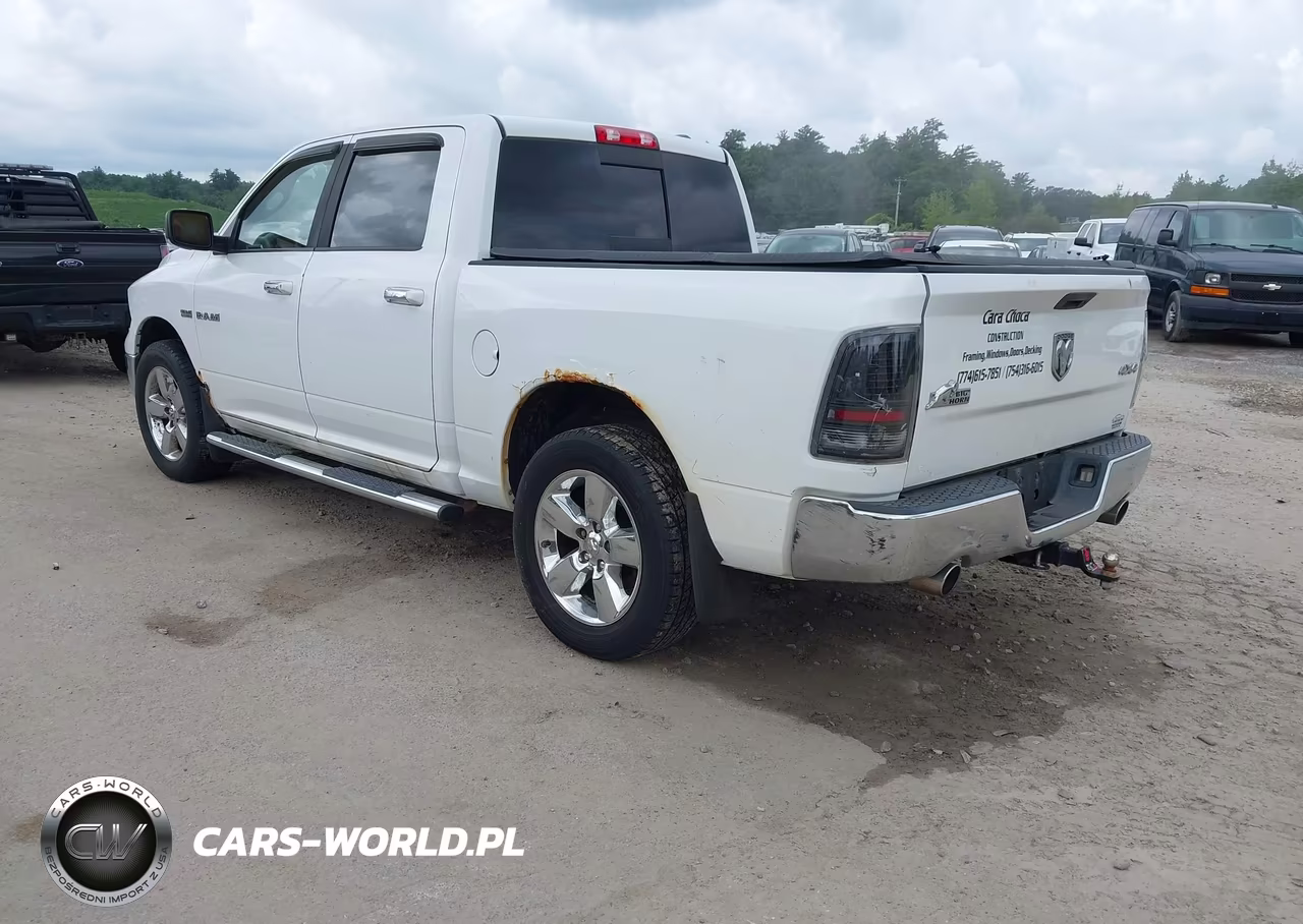 2010 Dodge Ram 1500 Slt-Sport-Trx VIN:1D7RV1CT3AS198315 - 3