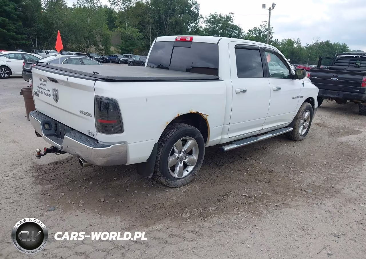 2010 Dodge Ram 1500 Slt-Sport-Trx VIN:1D7RV1CT3AS198315 - 4