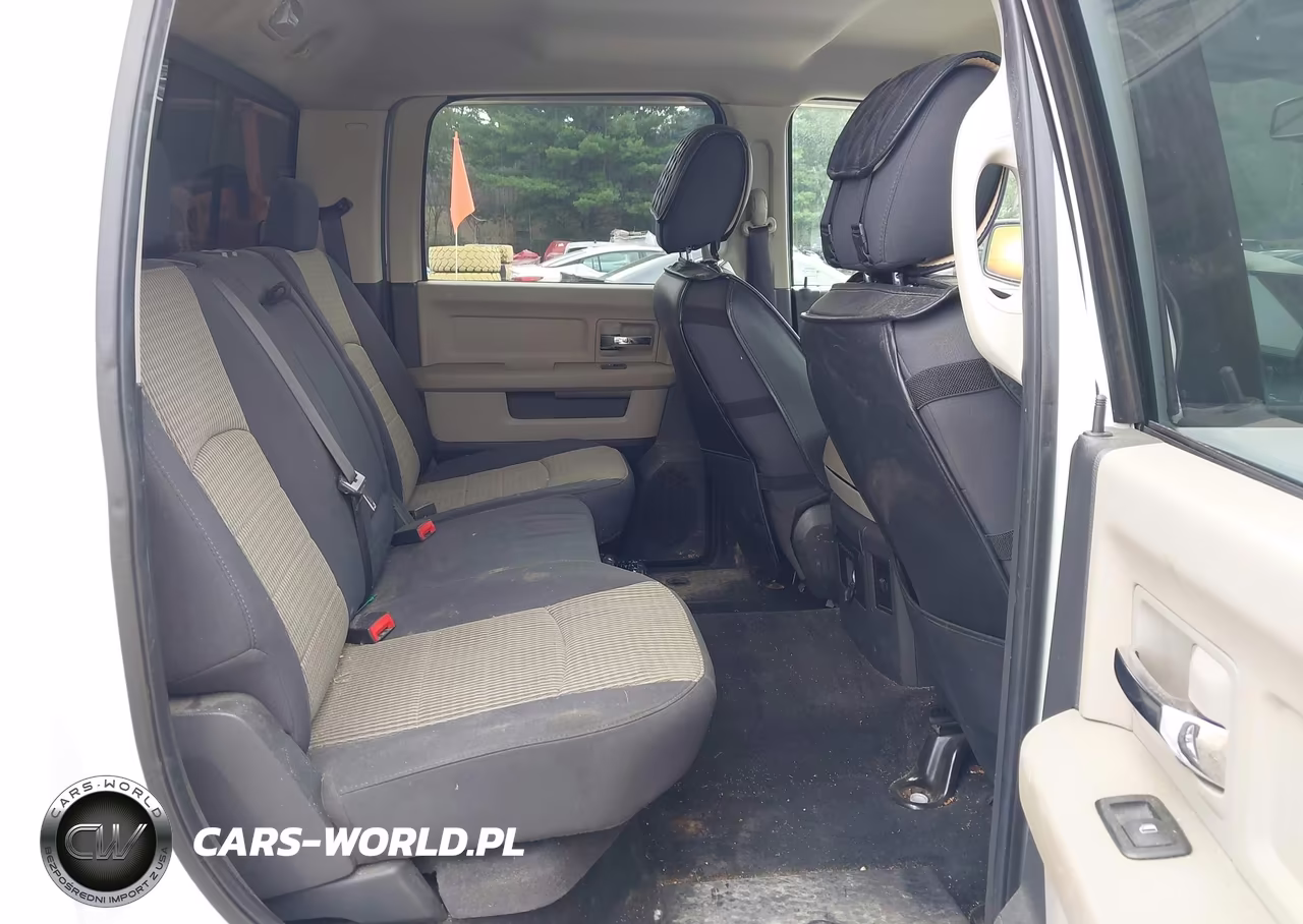 2010 Dodge Ram 1500 Slt-Sport-Trx VIN:1D7RV1CT3AS198315 - 8