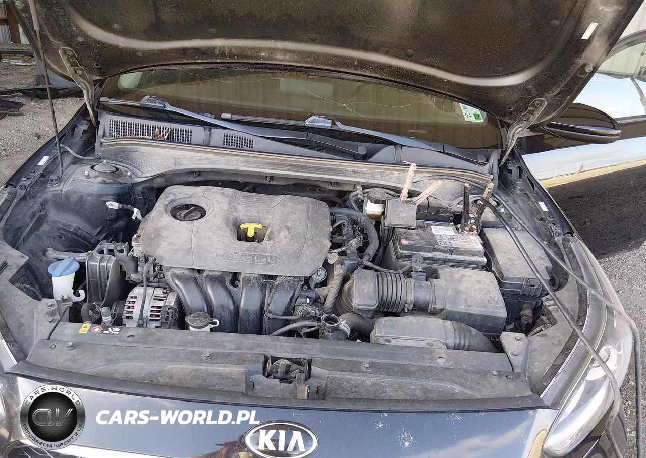 2021 Kia Forte Fe VIN:3KPF24AD8ME314439 - 10