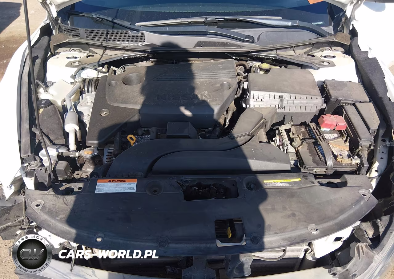 2016 Nissan Altima 2.5 Sl VIN:1N4AL3APXGC266228 - 10