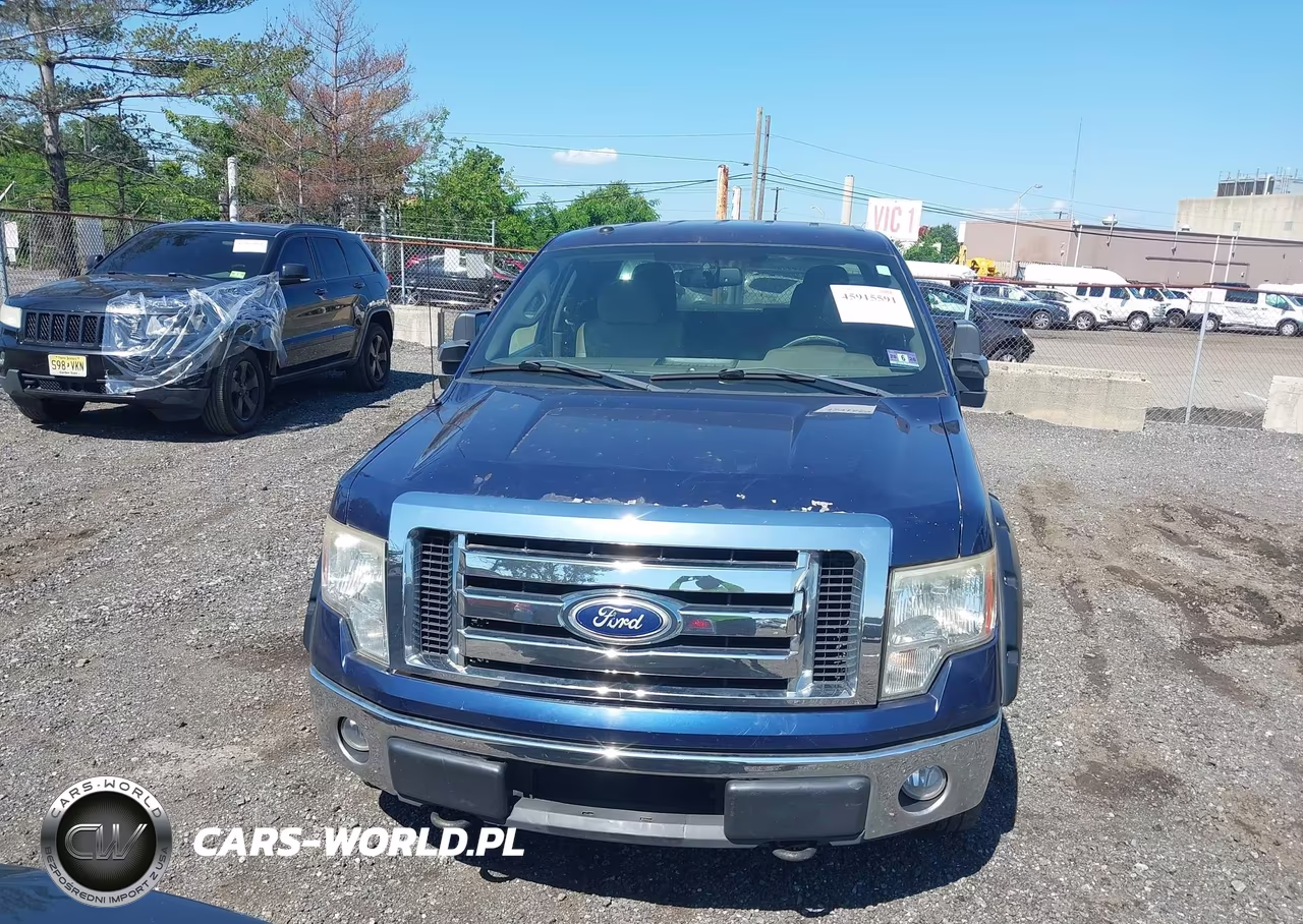 2010 Ford F-150 Xl W-Hd Payload Pkg-Xl W-Mid-Box Prep-Xlt W-Hd Payload Pkg-Xlt W-Mid-Box Prep VIN:1FTVX1EV5AKA26420 - 12