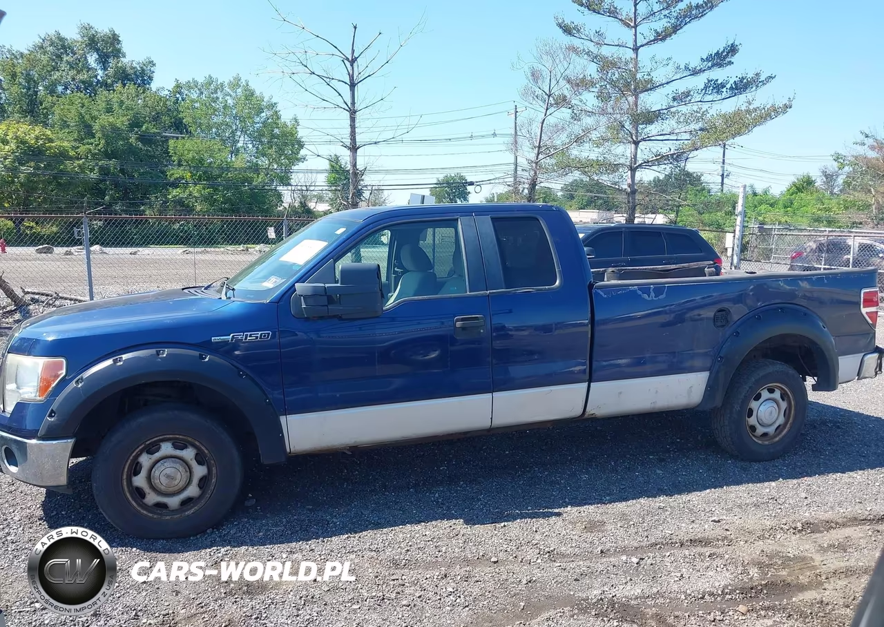 2010 Ford F-150 Xl W-Hd Payload Pkg-Xl W-Mid-Box Prep-Xlt W-Hd Payload Pkg-Xlt W-Mid-Box Prep VIN:1FTVX1EV5AKA26420 - 14