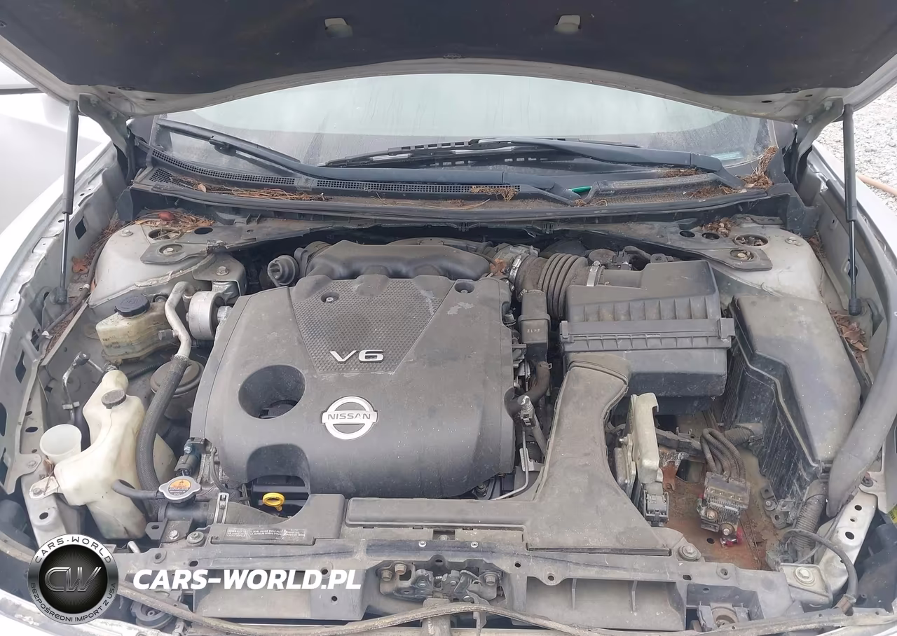 2013 Nissan Maxima 3.5 S VIN:1N4AA5AP4DC805391 - 10