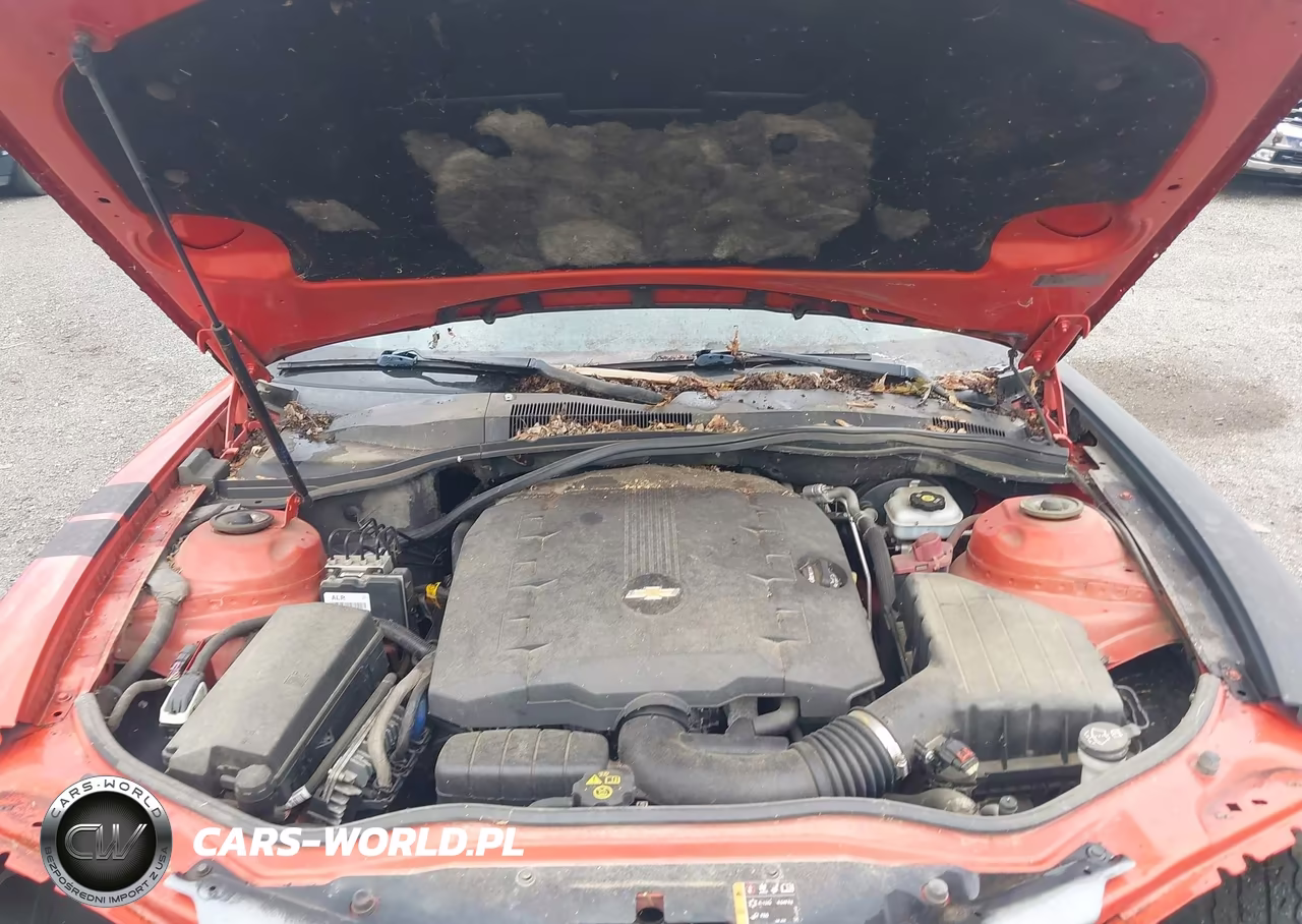 2013 Chevrolet Camaro 2Ls VIN:2G1FA1E33D9185682 - 10