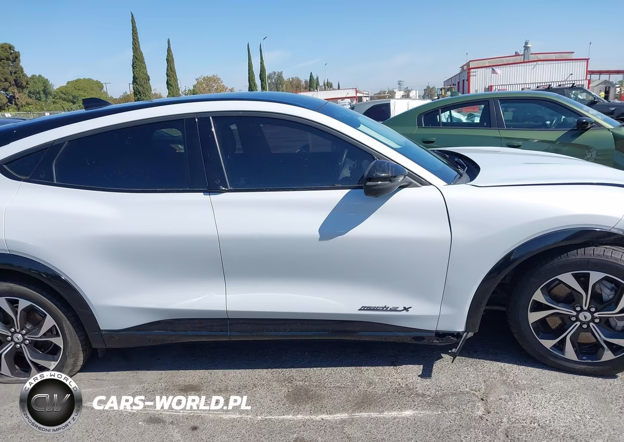 2022 Ford Mustang Mach-E Premium VIN:3FMTK3R70NMA24615 - 13