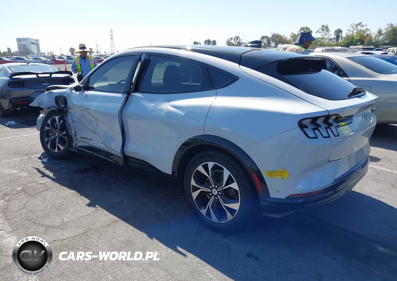 2022 Ford Mustang Mach-E Premium VIN:3FMTK3R70NMA24615 - 3