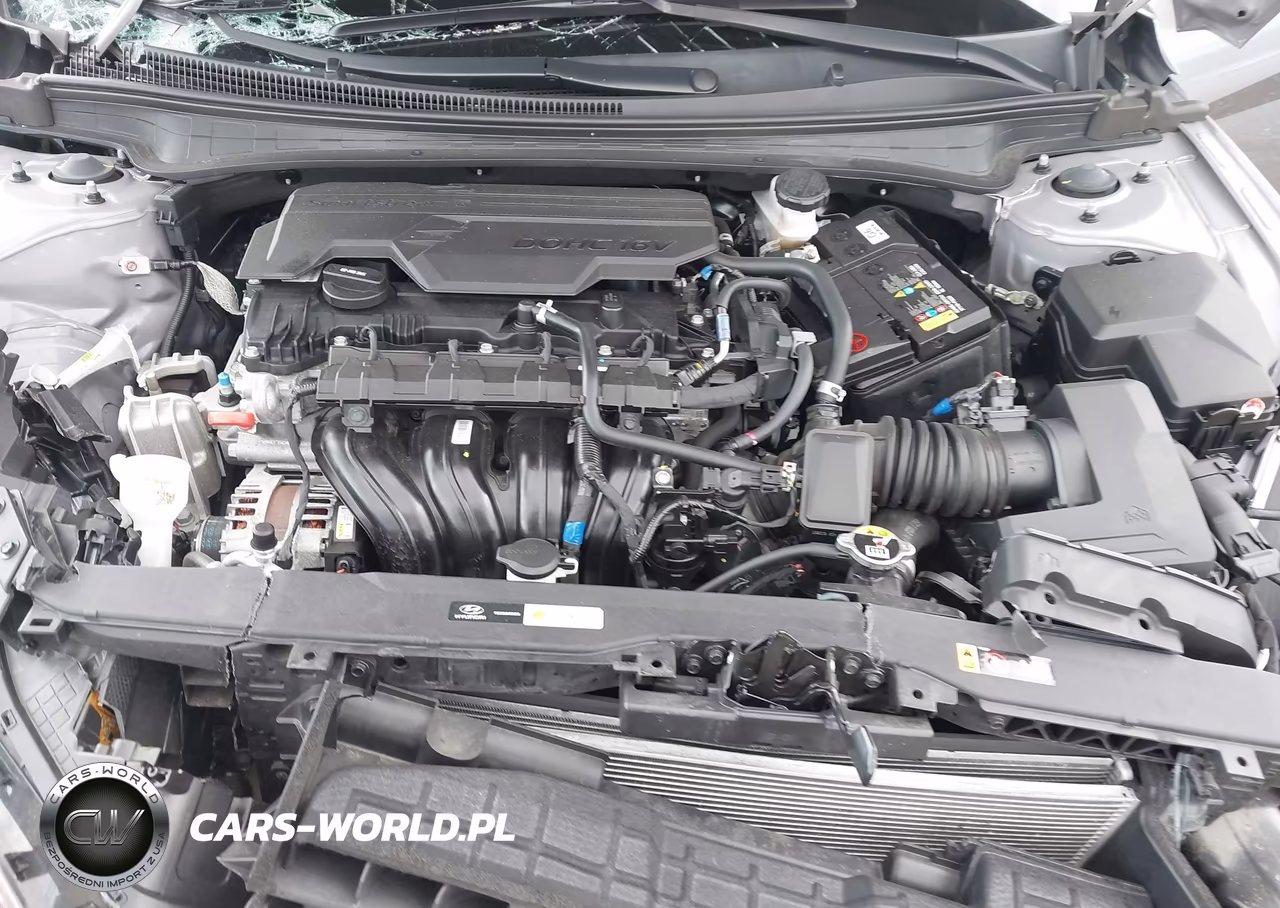 2023 Hyundai Elantra Limited VIN:KMHLP4AGXPU563373 - 10