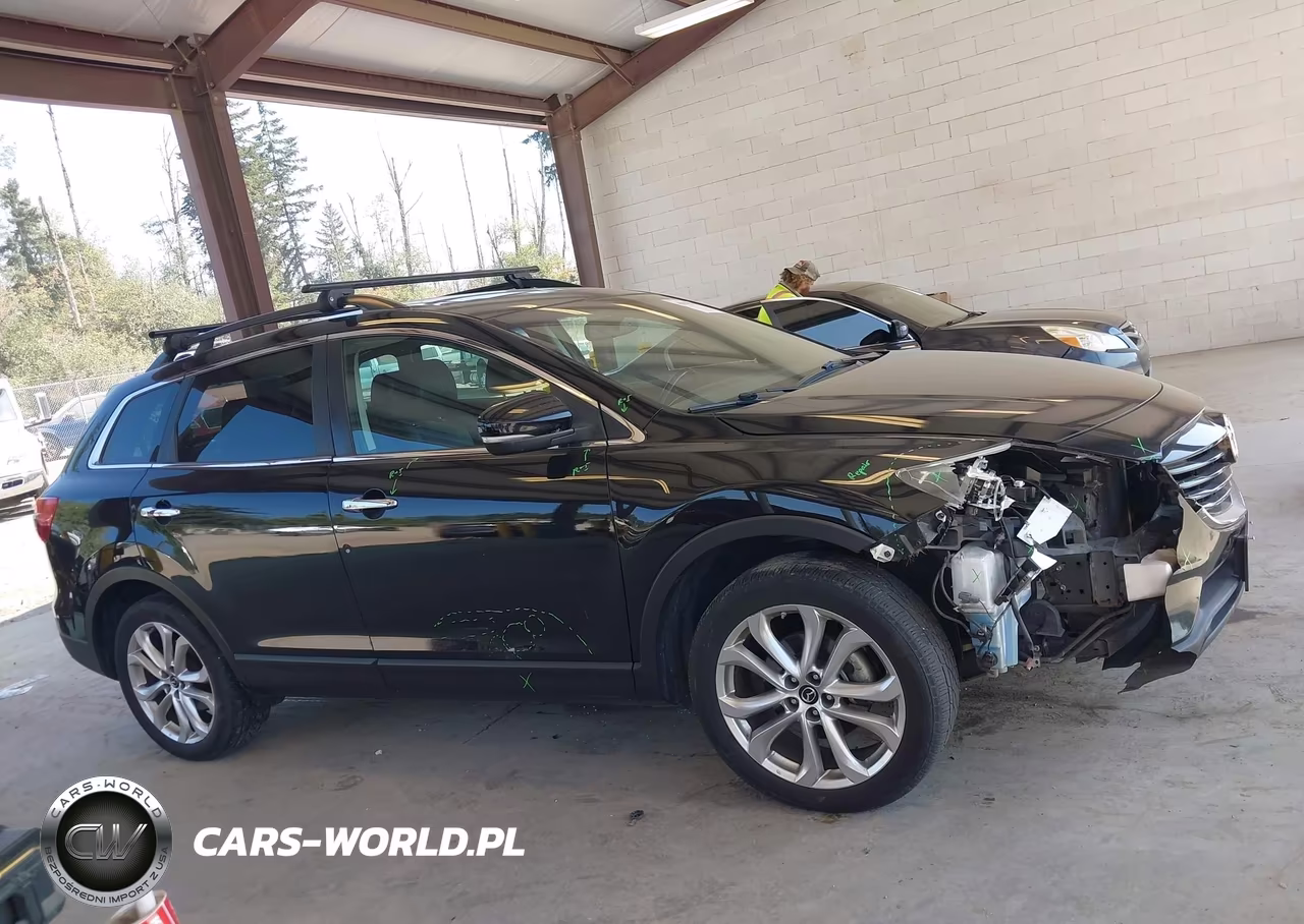 2013 Mazda Cx-9 Grand Touring VIN:JM3TB3DV5D0404651 - 13