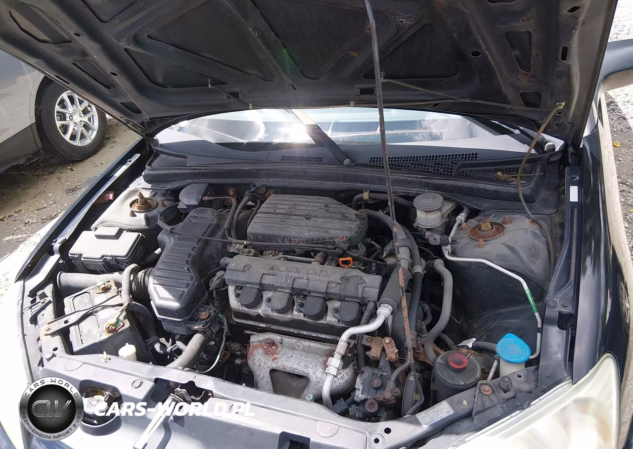 2004 Honda Civic Lx VIN:1HGES16564L020459 - 10