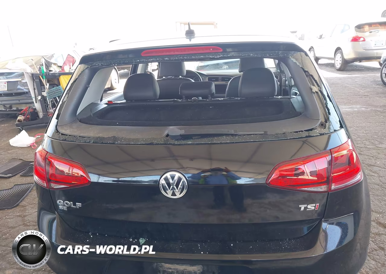 2016 Volkswagen Golf Tsi Se 4-Door VIN:3VW217AU7GM020976 - 17