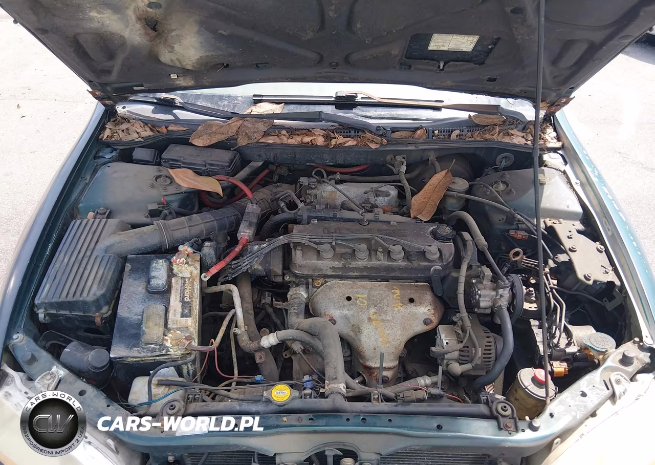 1999 Honda Accord Ex VIN:1HGCG5651XA083100 - 10
