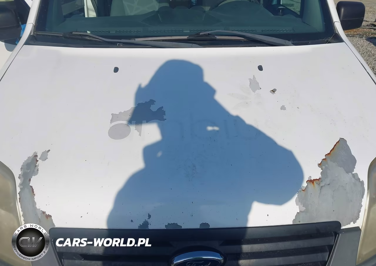 2012 Ford Transit Connect Xl VIN:NM0LS6AN9CT108492 - 10