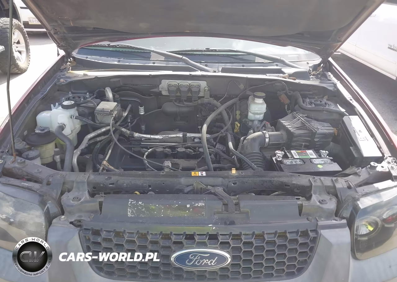 2006 Ford Escape Xls-Xls Manual VIN:1FMYU02Z96KA07766 - 10