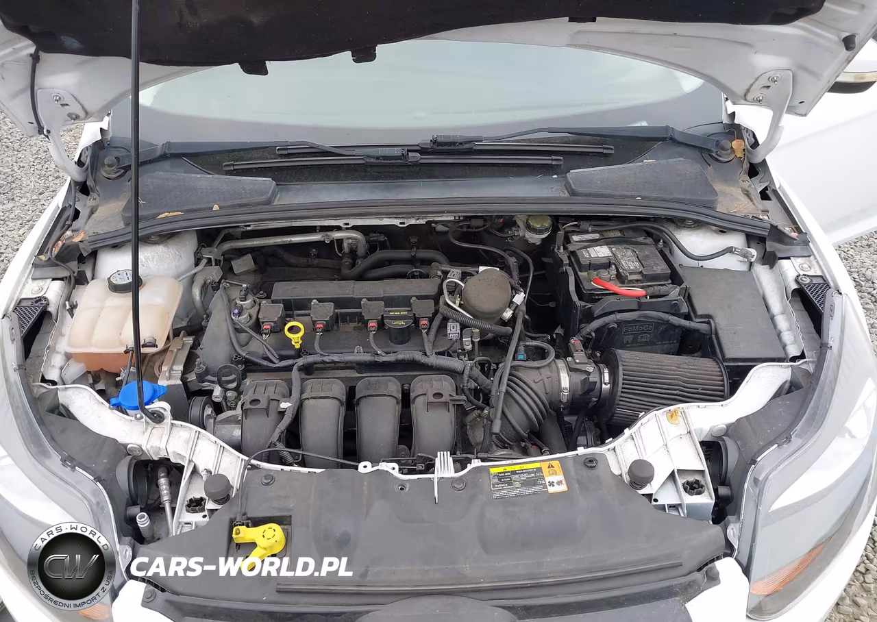2013 Ford Focus Se VIN:1FADP3F29DL341818 - 10