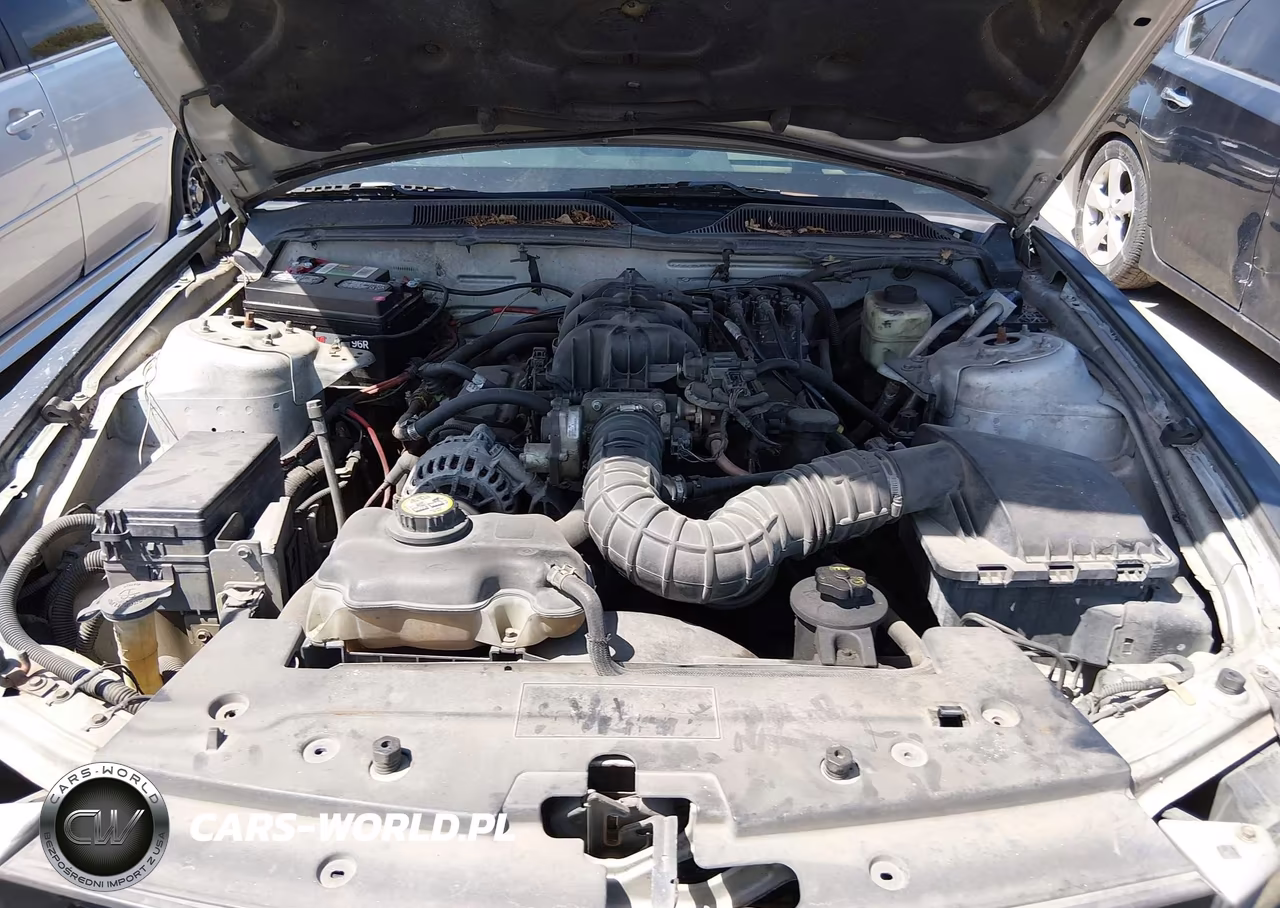 2006 Ford Mustang V6 VIN:1ZVFT84N265254890 - 10