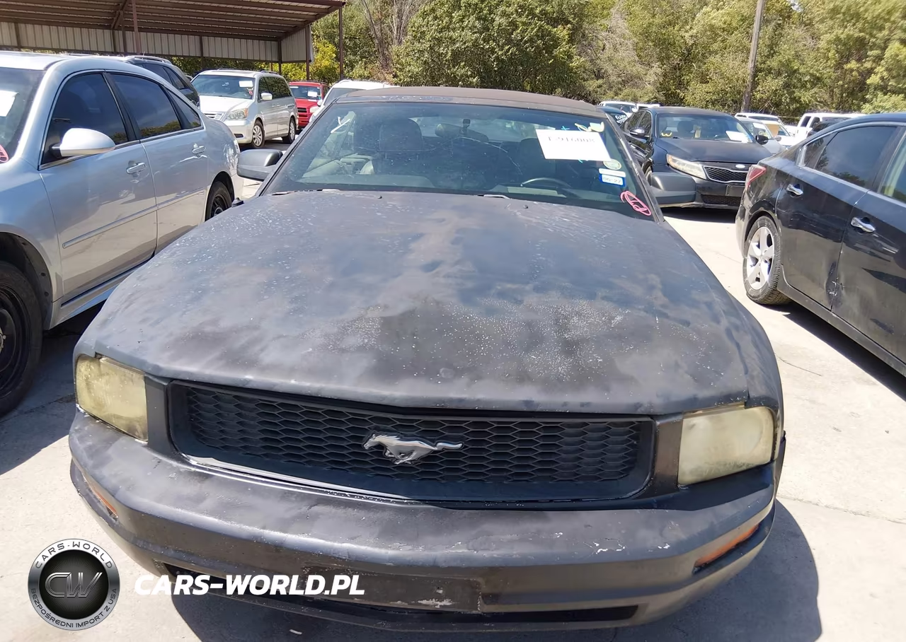 2006 Ford Mustang V6 VIN:1ZVFT84N265254890 - 12