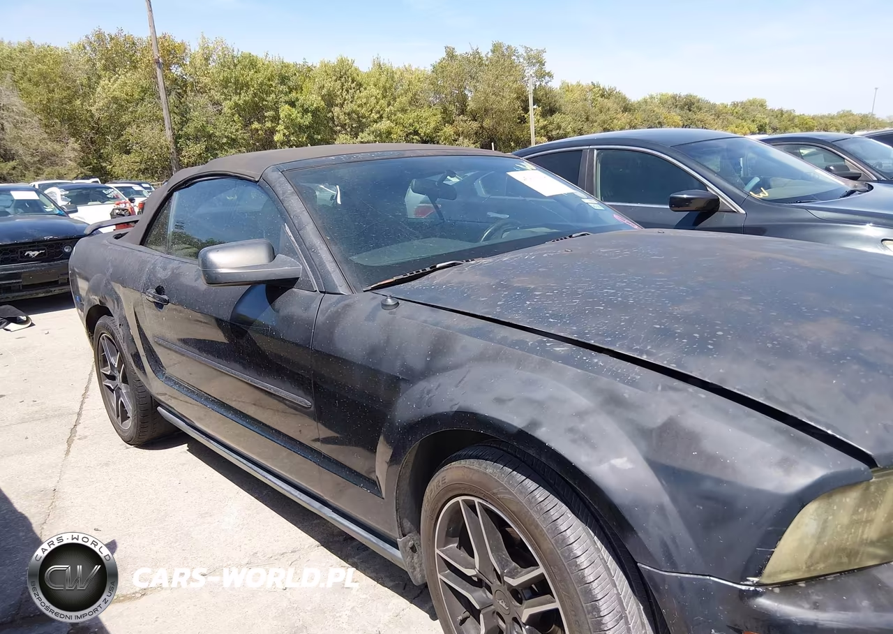 2006 Ford Mustang V6 VIN:1ZVFT84N265254890 - 13