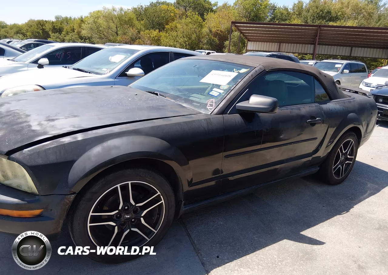 2006 Ford Mustang V6 VIN:1ZVFT84N265254890 - 14
