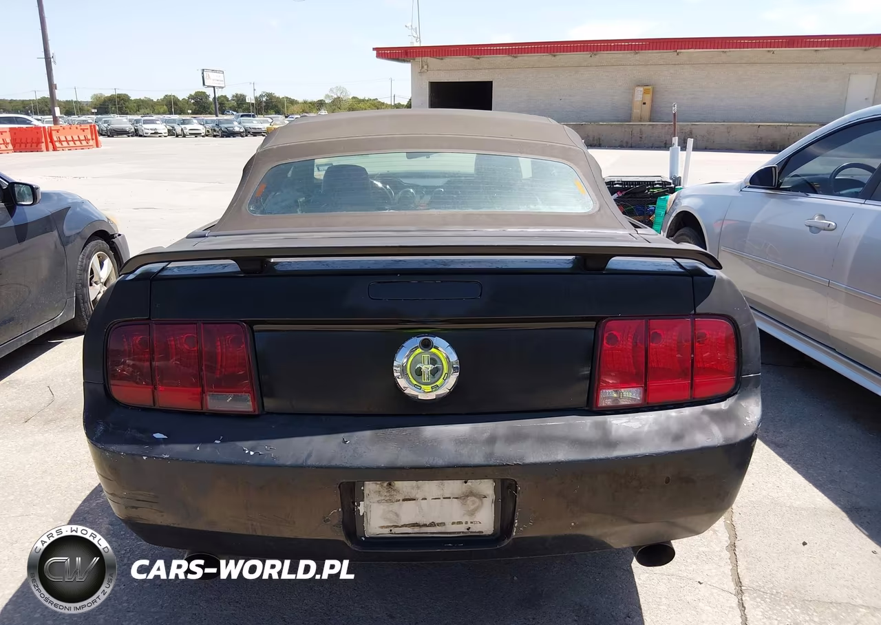 2006 Ford Mustang V6 VIN:1ZVFT84N265254890 - 16