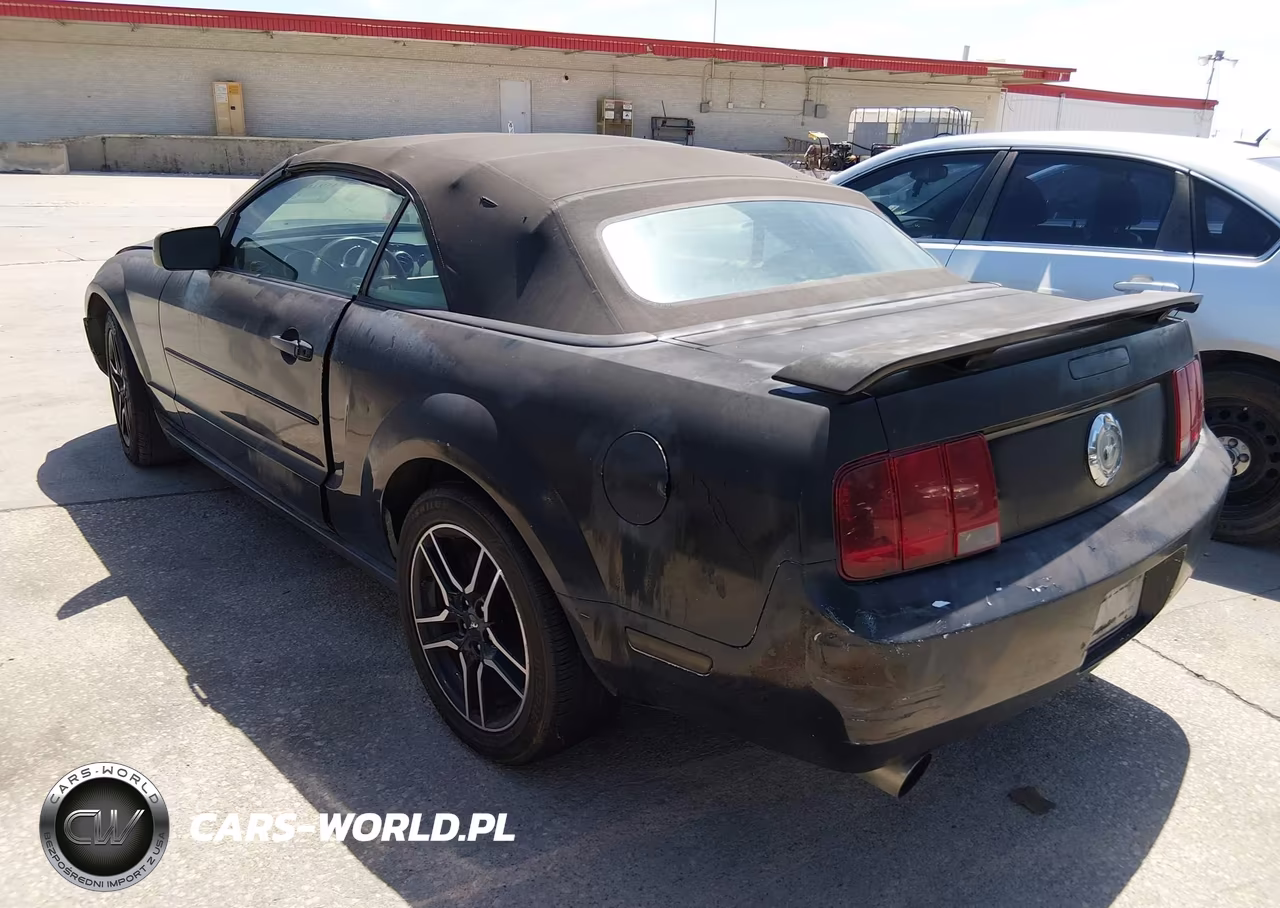 2006 Ford Mustang V6 VIN:1ZVFT84N265254890 - 3