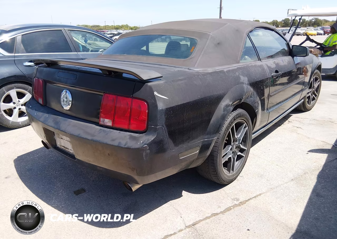 2006 Ford Mustang V6 VIN:1ZVFT84N265254890 - 4