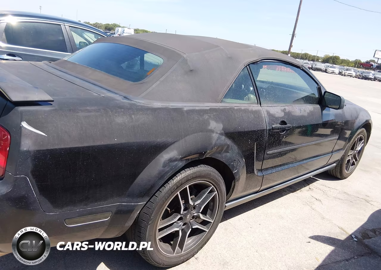 2006 Ford Mustang V6 VIN:1ZVFT84N265254890 - 6