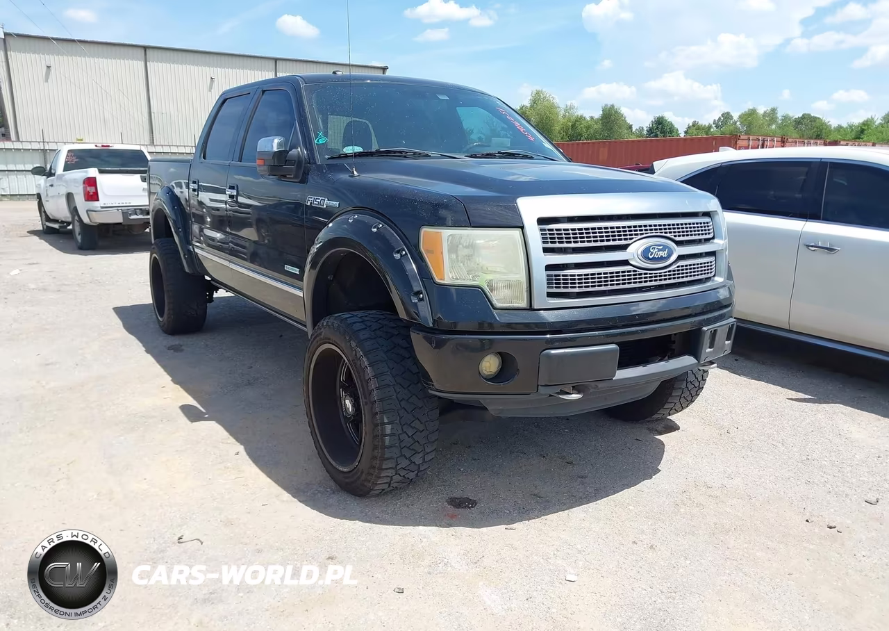 2011 Ford F-150 Platinum – zdjęcie 1 z 16