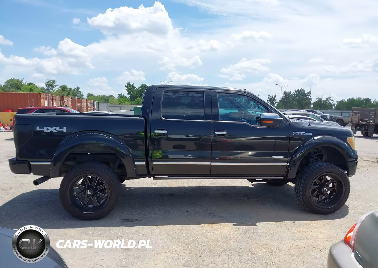 2011 Ford F-150 Platinum VIN:1FTFW1ET7BFA60861 - 13