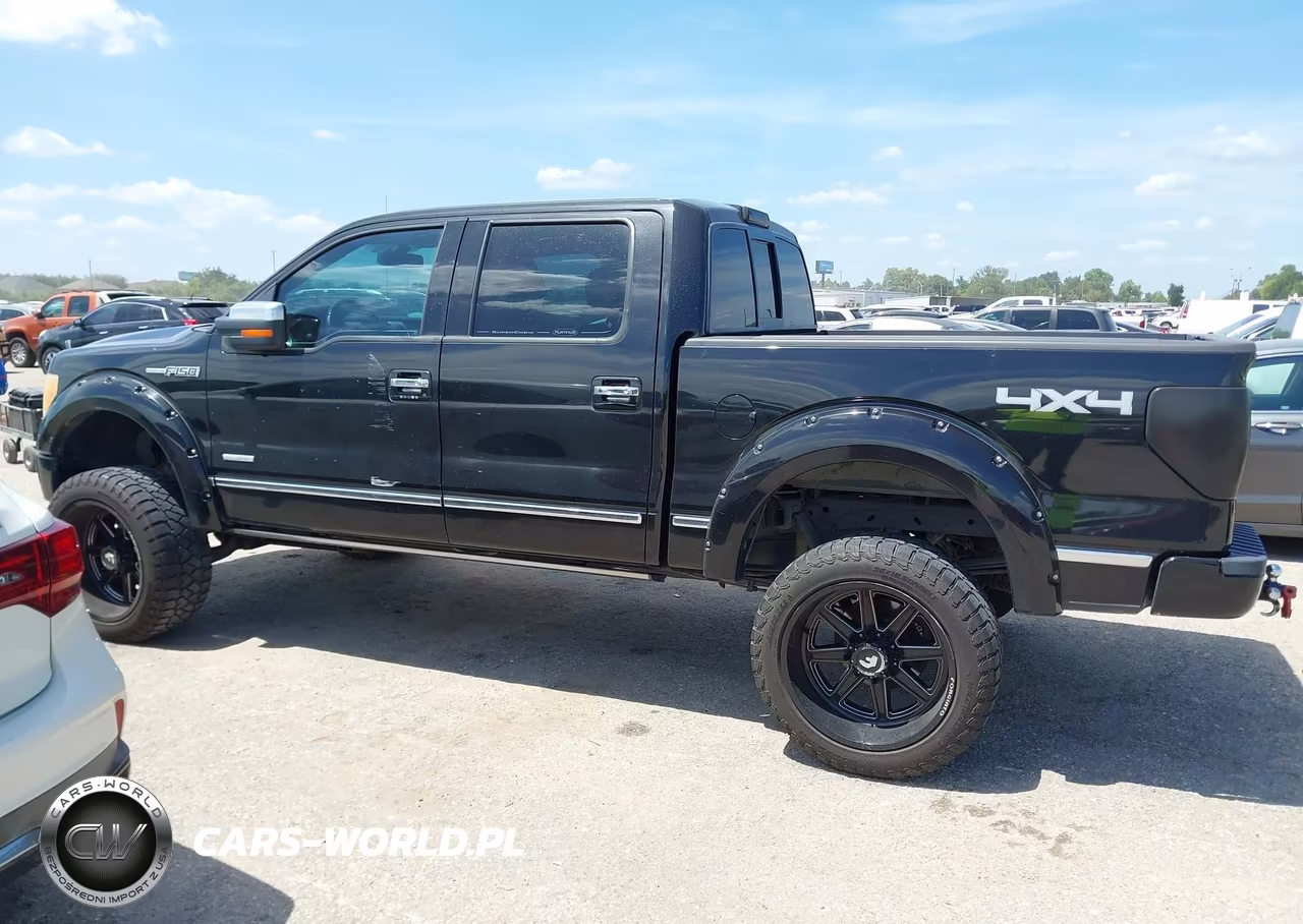 2011 Ford F-150 Platinum VIN:1FTFW1ET7BFA60861 - 14
