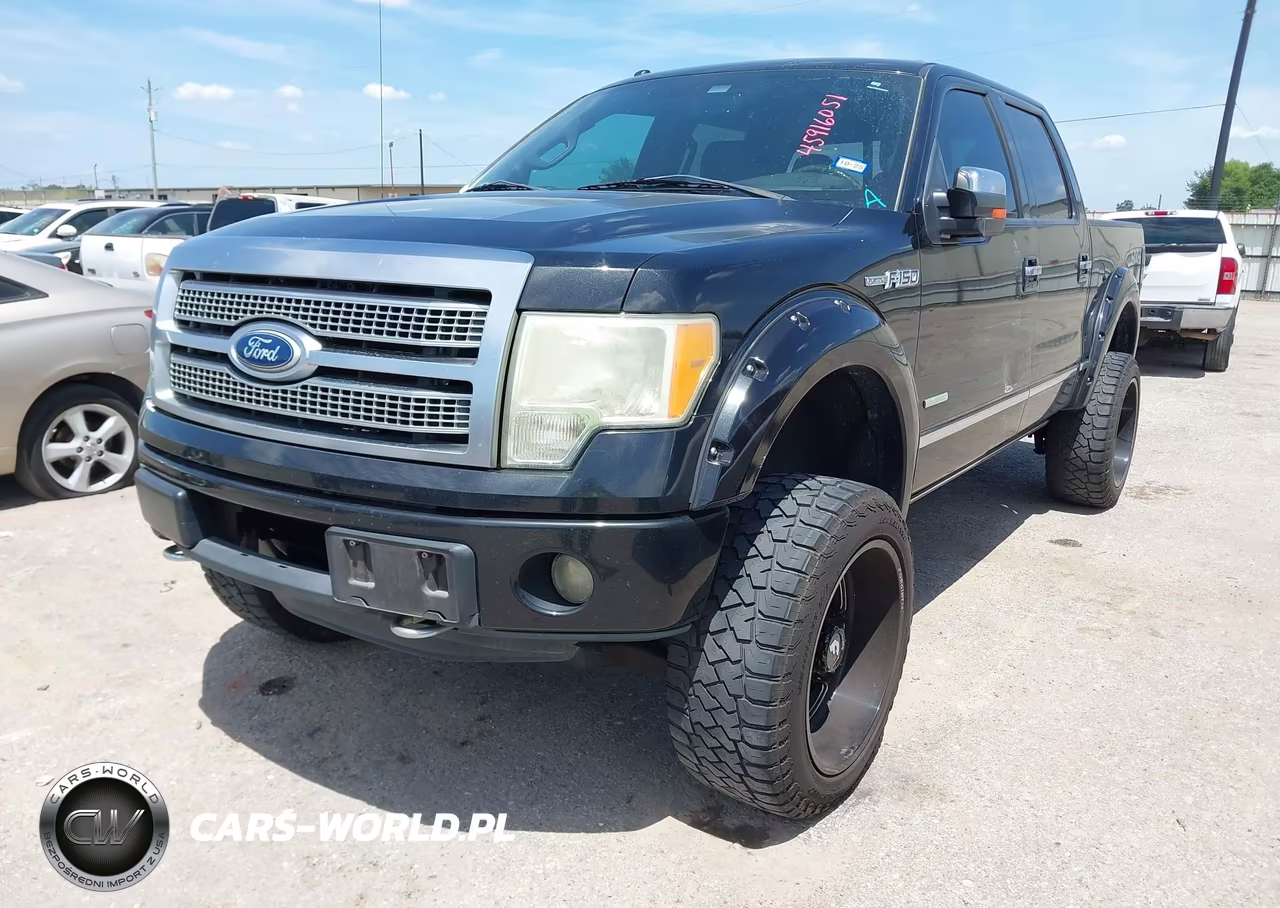 2011 Ford F-150 Platinum VIN:1FTFW1ET7BFA60861 - 2