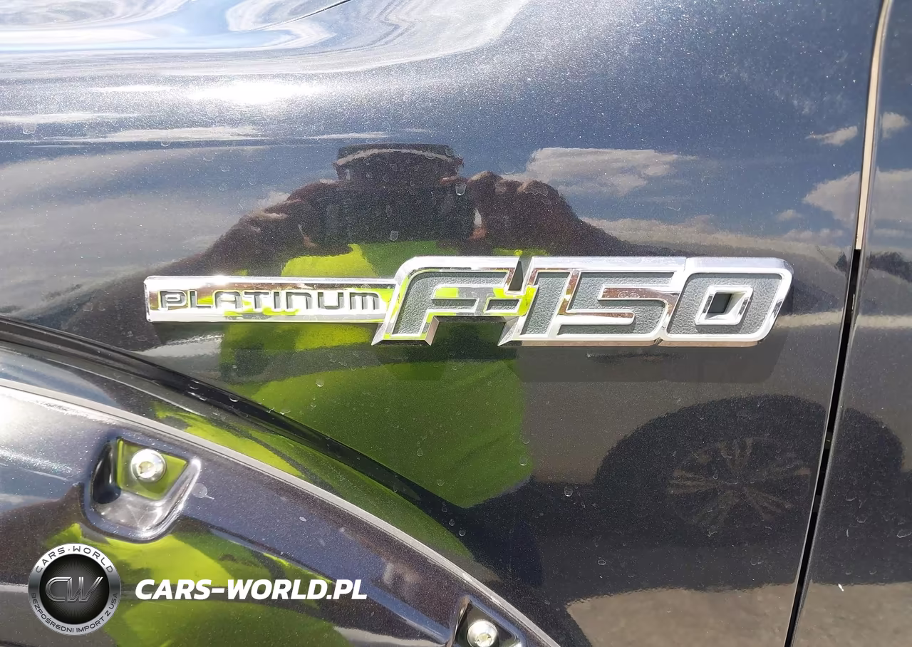 2011 Ford F-150 Platinum VIN:1FTFW1ET7BFA60861 - 6
