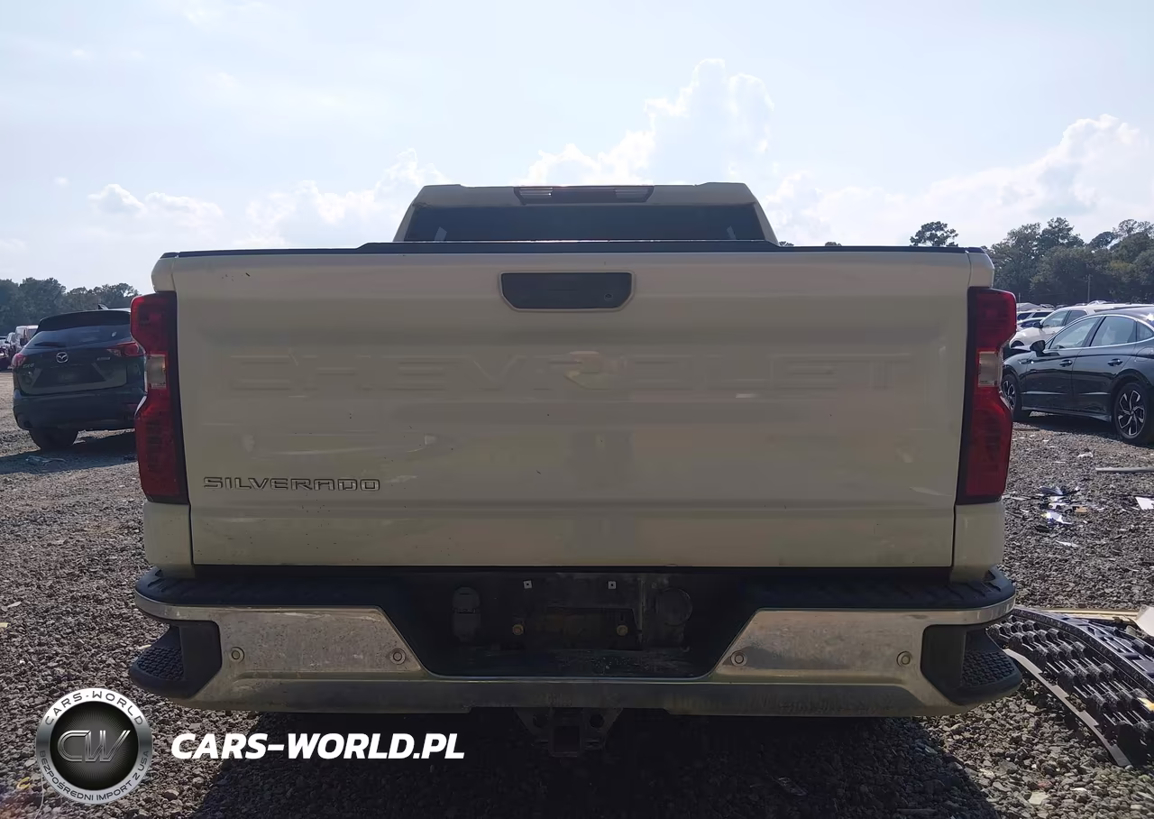 2020 Chevrolet Silverado 1500 4Wd Short Bed Wt VIN:1GCUYAEF4LZ216558 - 16