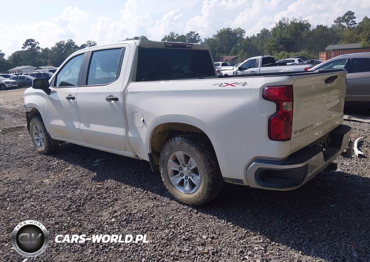 2020 Chevrolet Silverado 1500 4Wd Short Bed Wt VIN:1GCUYAEF4LZ216558 - 3